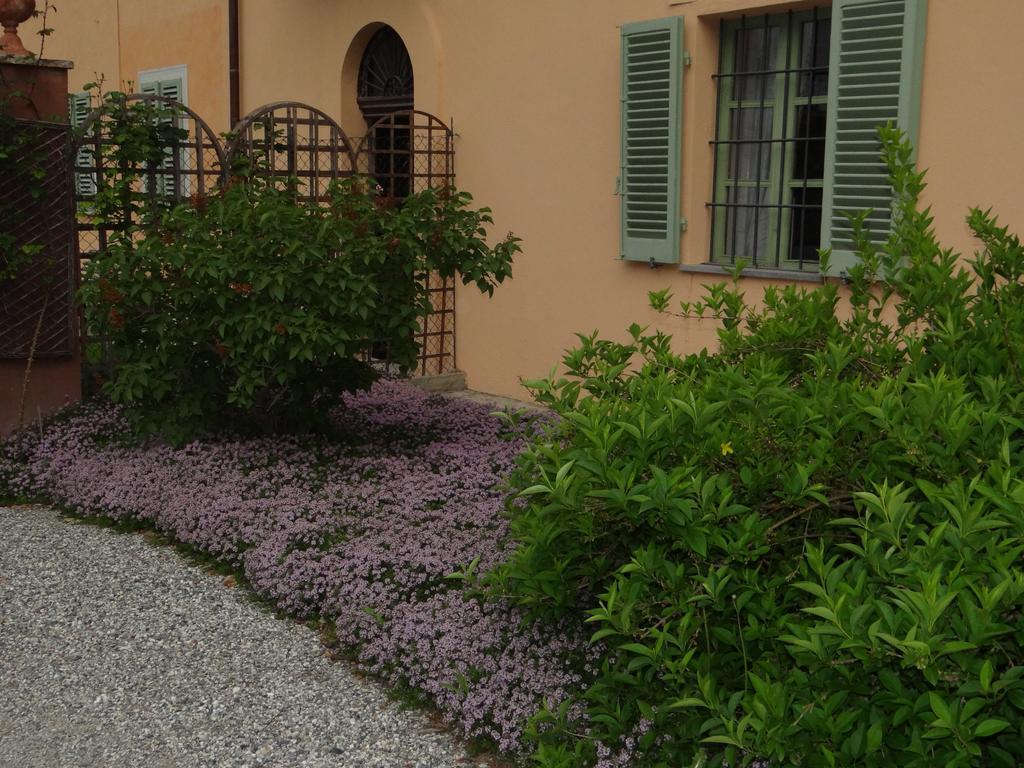 B&B Il Quadrifoglio Sciolze Exteriér fotografie